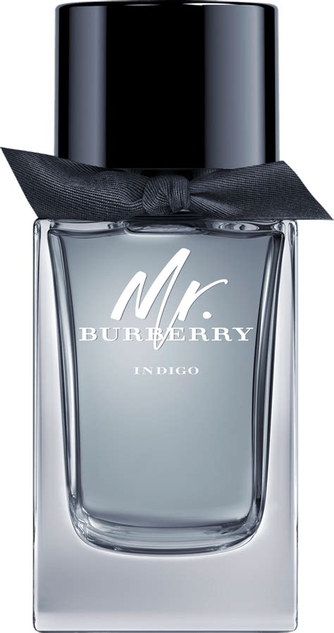 mr burberry eau de toilette spray|mr Burberry indigo 100ml.